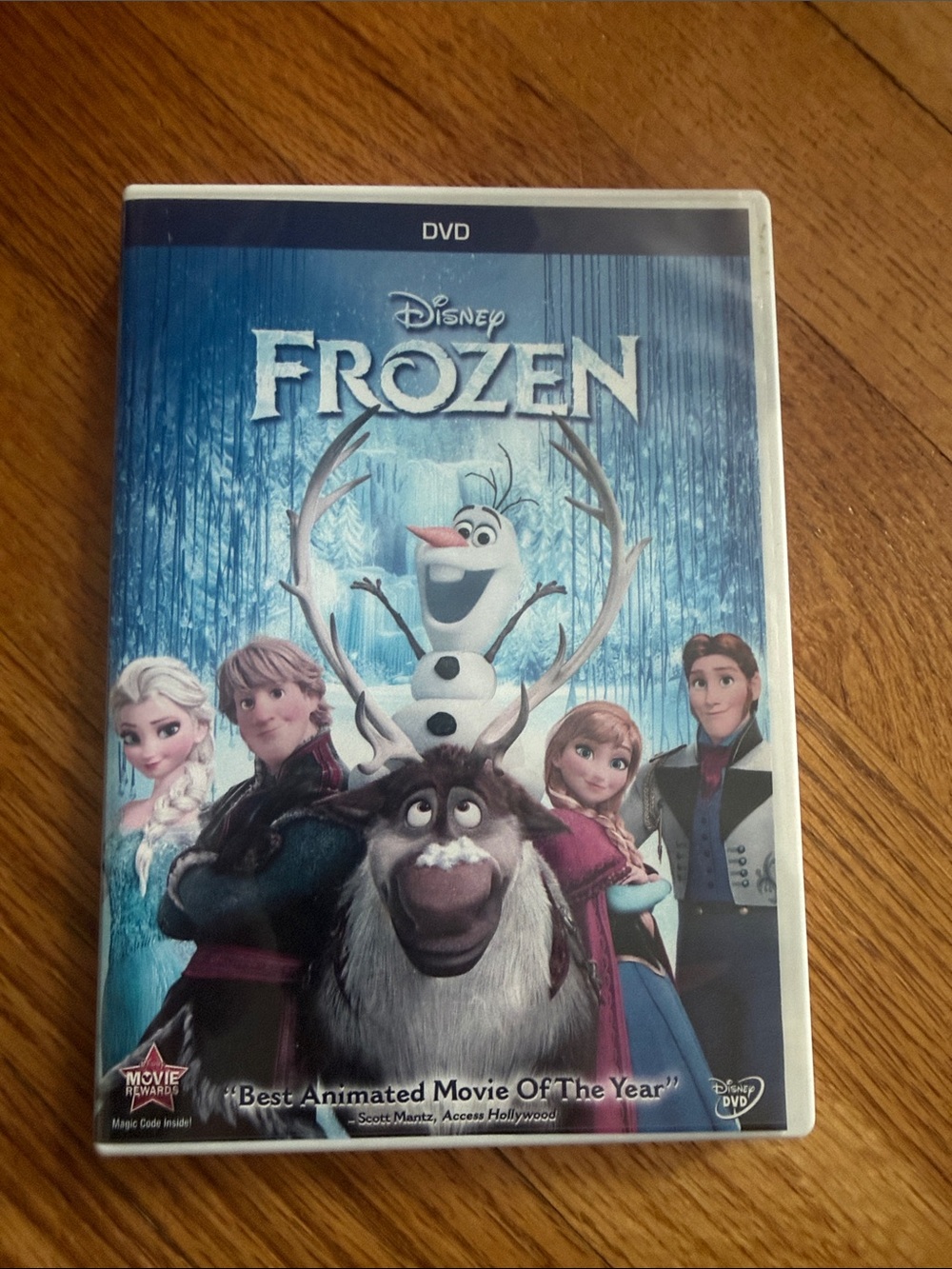 Disney Frozen DVD — Blue and White Cover